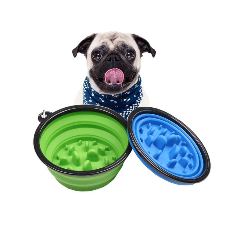 Are Slow Feeders Beneficial for Your Dog's Health Why Silicone Feeders Are the Optimal Choice4